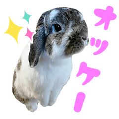 だいふくとのハッピーライフ！