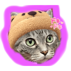 アトム❤ウランの日常