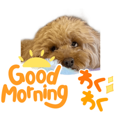 デカ文字ちゃゆファミリーch1