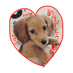 ぷぅのスタンプだよーん2