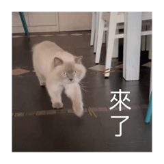 Nancy_20220517160450