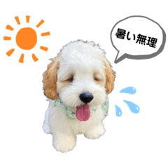 キャバションあんちゃんのスタンプ