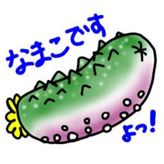 なまこ奉仕堂02