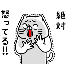 全力ねこの何があったんや？編