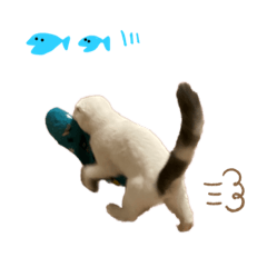 おかゆくんだよ。