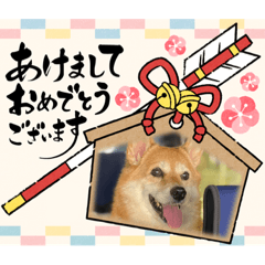 ハル、新年のごあいさつ