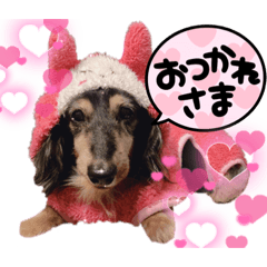 むぎと、はなと、みん