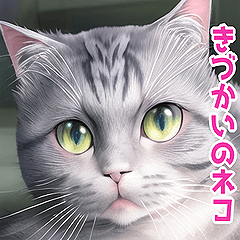 気づかいのできるネコ