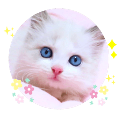 エルサと仲間たち2