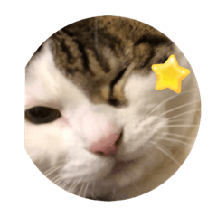 にこすのスタンプ