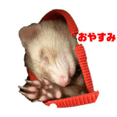 うさぎとフェレットのスタンプ二弾