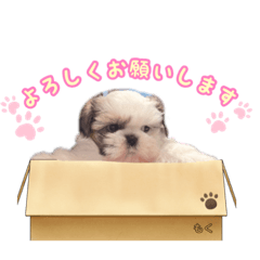 もくちゃんです