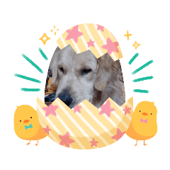 らいとくんのすたんぷ第二段