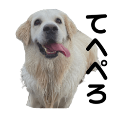 Marniと愉快な仲間たち