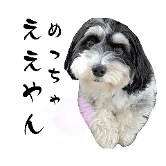 マルックスのイフくん（修正版）