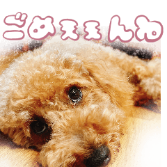 モーモーモコちゃん