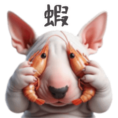 ブル ・ テリア