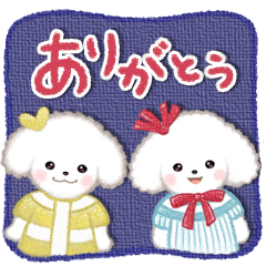 トイプードル★挨拶・お礼