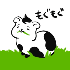 モルモットのぼちもる