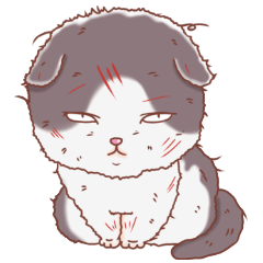 グレー猫 グレちゃん パート2