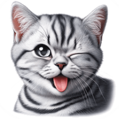 アメショー❤️飼ってる家族で使おう