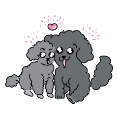 黒プードルのむくとなぎ