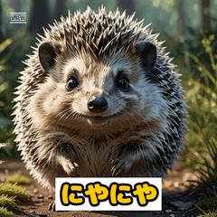 ハリネズミのきもち日常