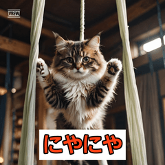 エアリアルねこ日和