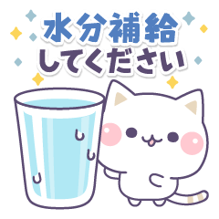 気づかいのできるネコ♪真夏の敬語編☆