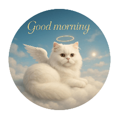 Cats in Heaven～persian cat①