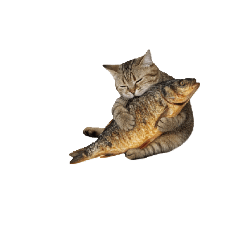 Khun Chay Kratay_20251005103926