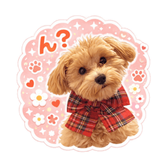 マロクルの日常①