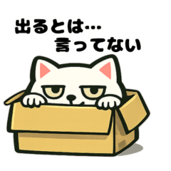 毎日使える！段ボール大好き猫～お散歩編～