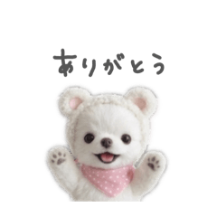 とろけるチワワ日常編