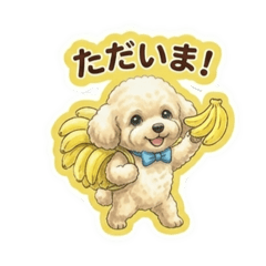 ☆ふわふわトイプードルくん ☆の毎日②