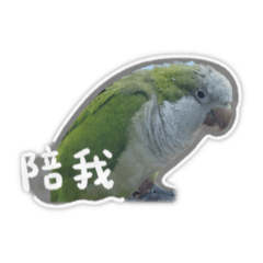 Henry_20260513183946