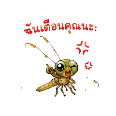 mangpormangjai.2