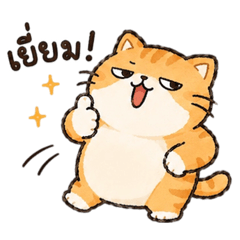 Salmon : Mischievous Orange Cat
