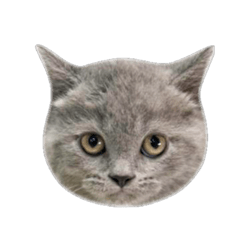 こまろとむーにー