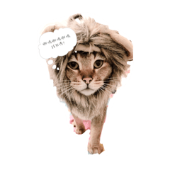 Pumpkin_20190525191914