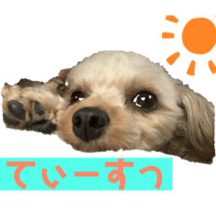 ゆるかわんこ by ティーラテ