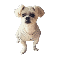 スパンク＆ポテト