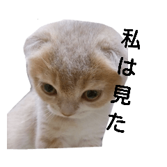 たまの無表情スタンプ2