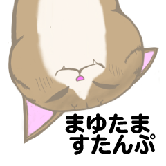 まゆたま すたんぷ