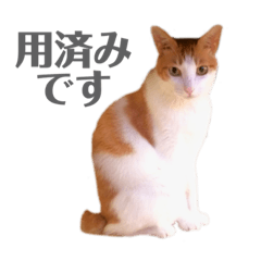 マッドまるた 怒りのスタンプ