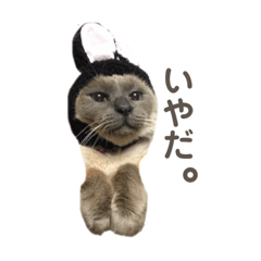 ベリ❤︎キャラスタンプ3