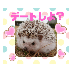 HARRYスタンプ②