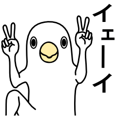 白いトリたちです。その2