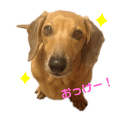 ごろーずスタンプ①