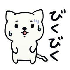 気が小さいねこ